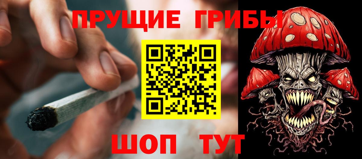 Можайск  Галлюциногенные грибы Psilocybine cubensis  Галлюциногенные грибы Psilocybe  Вход с VPN 